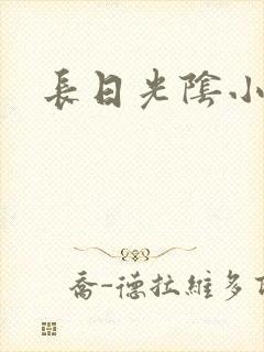 长日光阴小说