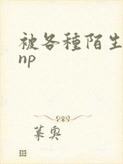 被各种陌生人 np