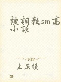 被调教sm高h小说