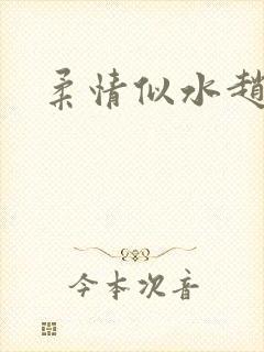 柔情似水赵雅儿