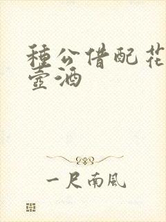 种公借配花间一壶酒