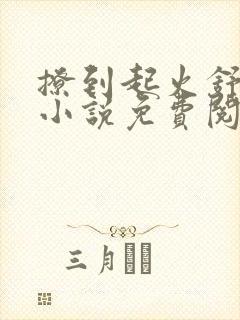 撩到起火舒漾的小说免费阅读全文