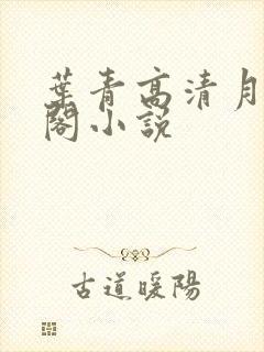 叶青高清月笔趣阁小说
