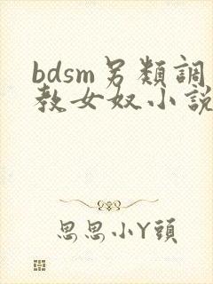 bdsm另类调教女奴小说封面