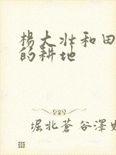 杨大壮和田桂花的耕地封面