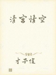 清宫情空封面