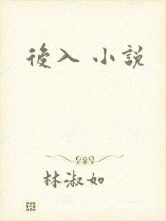 后入 小说