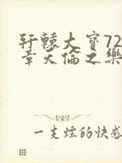 轩辕大宝720章天伦之乐封面