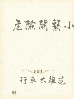 危险关系小说封面