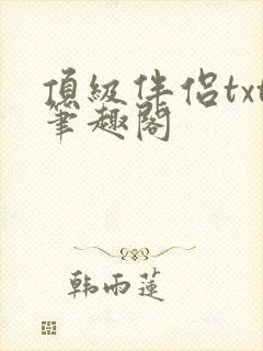 顶级伴侣txt笔趣阁