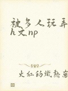 被多人玩弄调教h文np