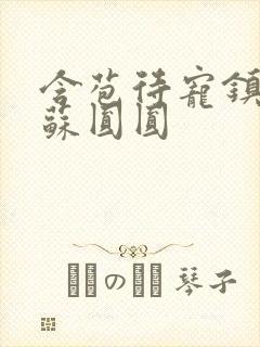 含苞待宠镇国公苏圆圆