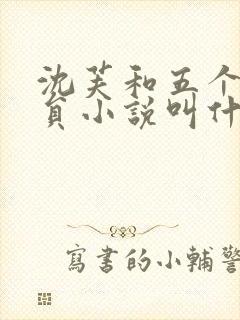 沈芙和五个消防员小说叫什么封面