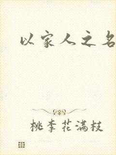 以家人之名小说