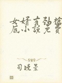 女婿有劲枪枪到底小说免费阅读封面