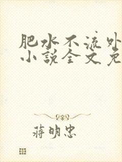 肥水不流外人田小说全文免费阅读1封面
