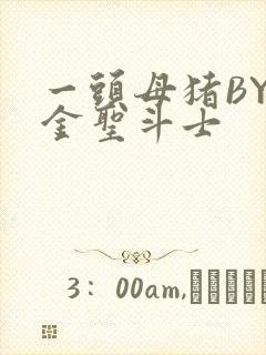 一头母猪BY黄金圣斗士