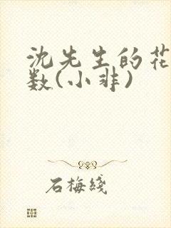 沈先生的花式调数(小非)