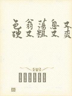 色翁荡息又大又硬又粗又爽小莹封面