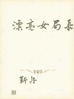 漂亮女局长封面