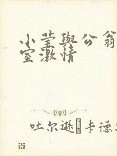 小莹与公翁办公室激情