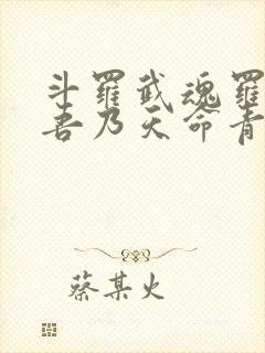 斗罗武魂罗三炮吾乃天命青龙笔趣阁