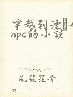 穿越到湮婸世界npc的小说