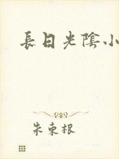 长日光阴小说