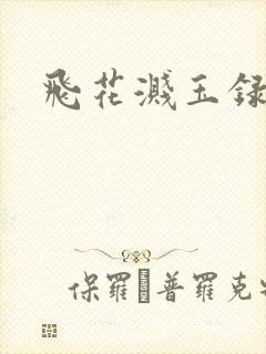 飞花溅玉录