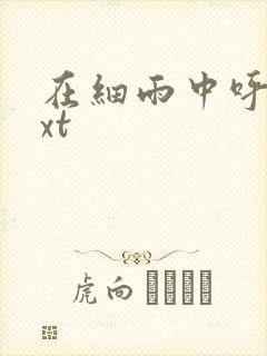 在细雨中呼喊txt