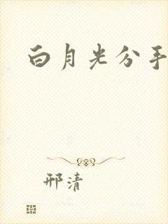 白月光分手日常