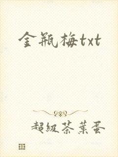 金瓶梅txt封面