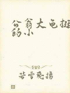 公翁大龟挺进我的小