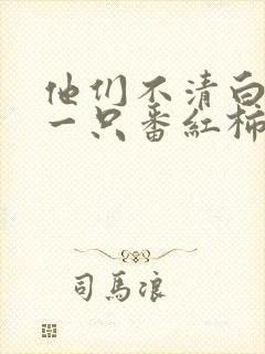 他们不清白by一只番红柿笔趣阁免费阅封面