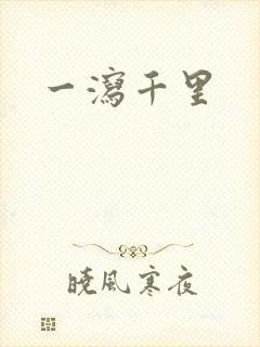 一泻千里封面