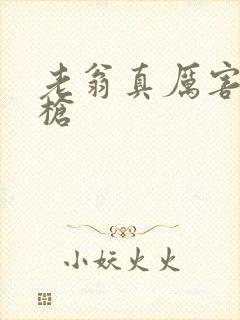 老翁真厉害不倒枪封面