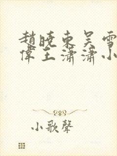 赵晓东吴雪晴郑伟王潇潇小说名字