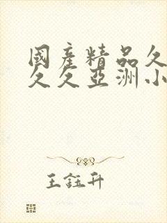 国产精品久久久久久亚洲小说