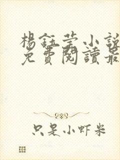 杨钰莹小说全文免费阅读最新章节封面