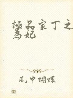 极品家丁之册母为妃