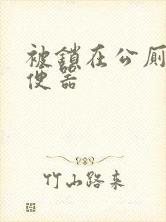 被锁在公厕当坐便器