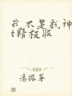 我不是戏神txt精校版