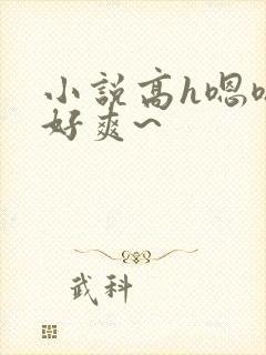 小说高h嗯嗯~好爽~