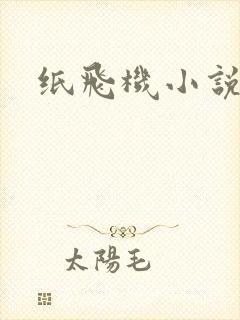 纸飞机小说封面