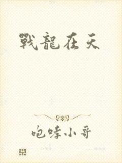 战龙在天