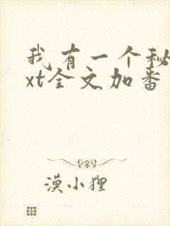 我有一个秘密txt全文加番外