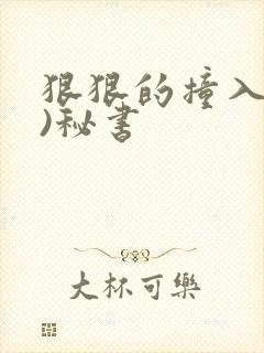 狠狠的撞入(h)秘书