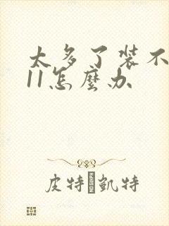 太多了装不下h11怎么办封面