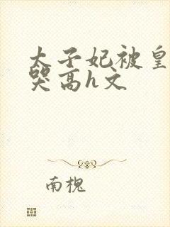 太子妃被皇上c哭高h文封面