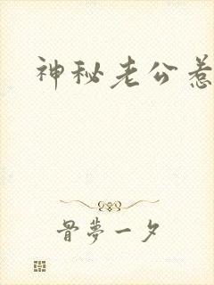 神秘老公惹不起